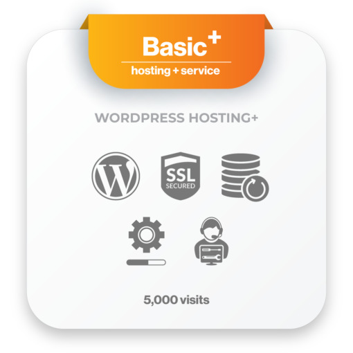 Basic WordPress Hosting